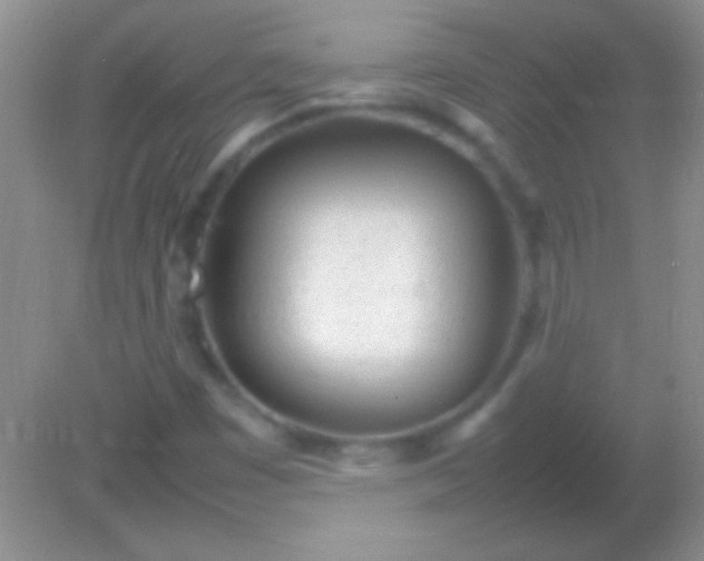 X0000082141449200701262230