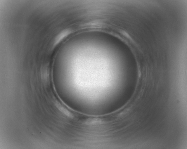 X0000082141450200701262230