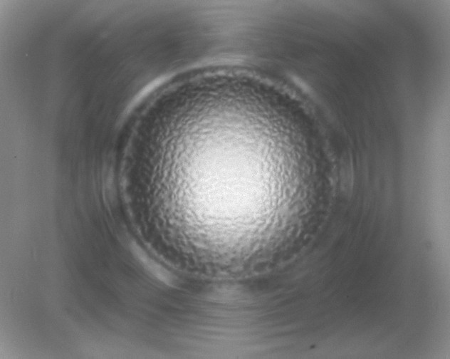 X0000082141452200701262230