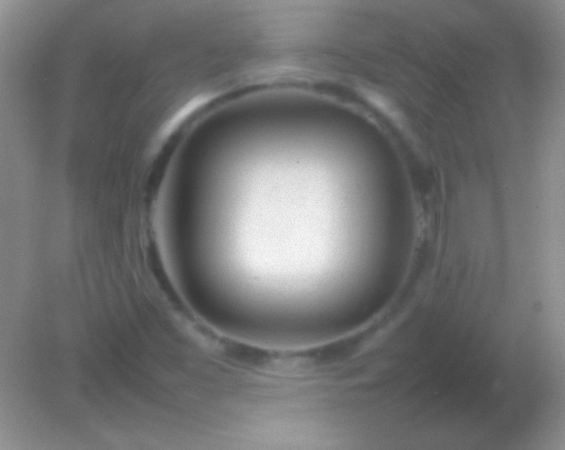 X0000082141453200701262230