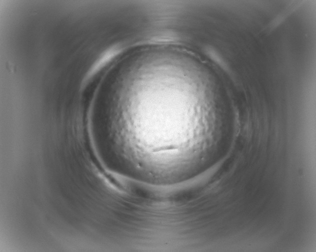 X0000082141456200701262230