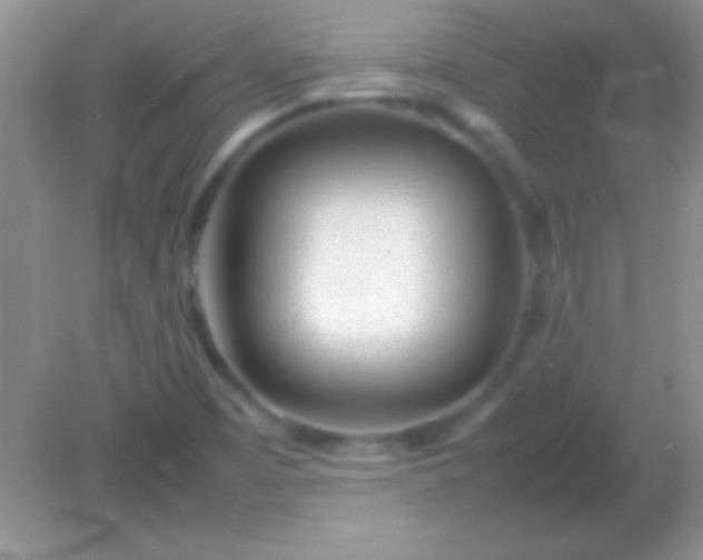 X0000082141457200701262230