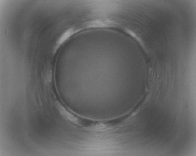 X0000082141459200701262230