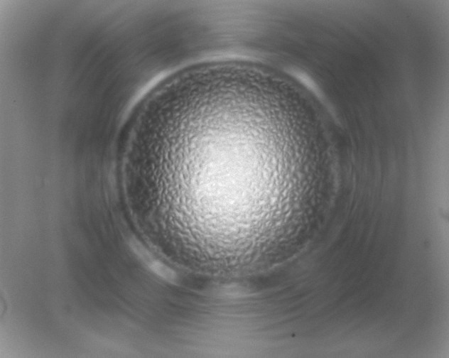 X0000082141460200701262230