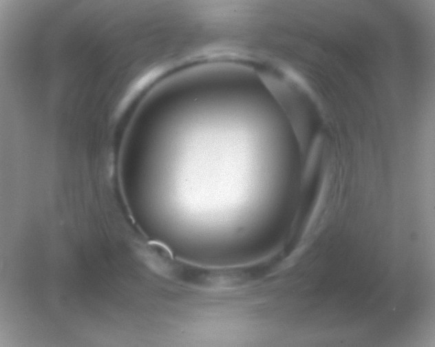 X0000082141461200701262230