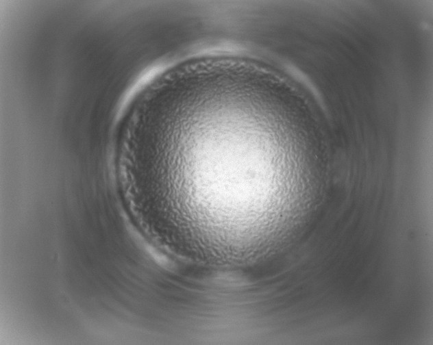 X0000082141464200701262230