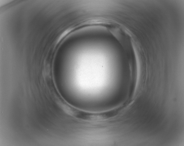 X0000082141465200701262230