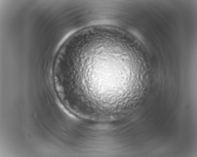 X0000082141468200701262230