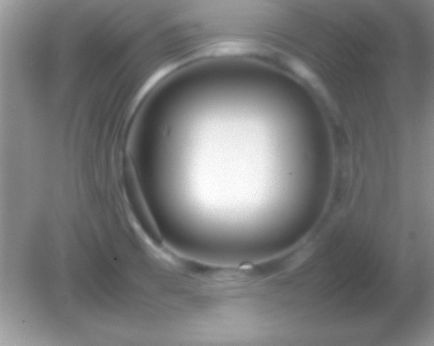 X0000082141473200701262230