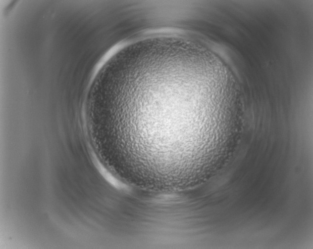 X0000082141482200701262230