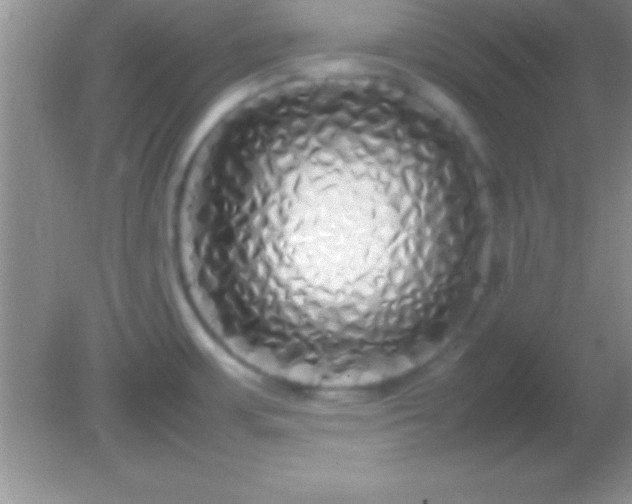 X0000082141483200701262230