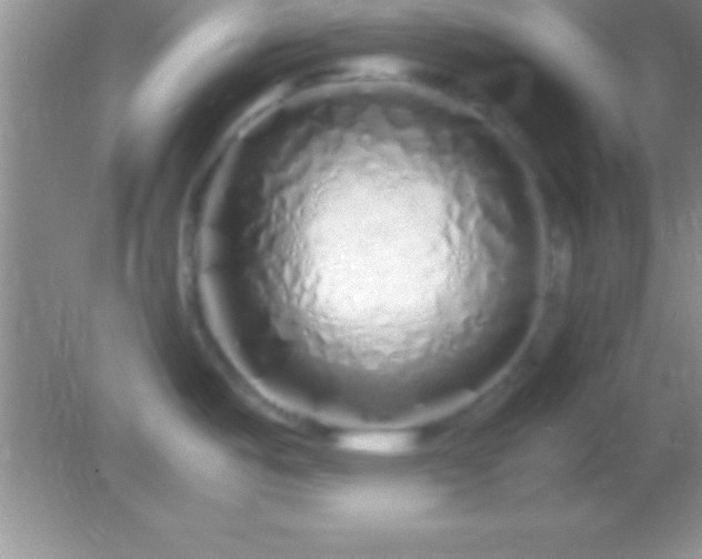 X0000082141487200701262229