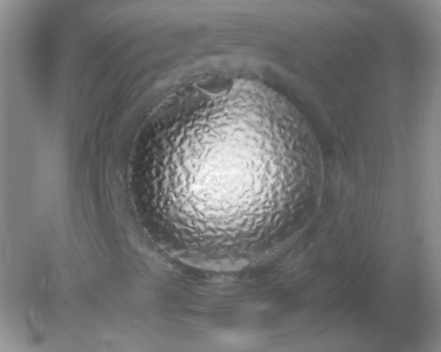 X0000082141489200701262229