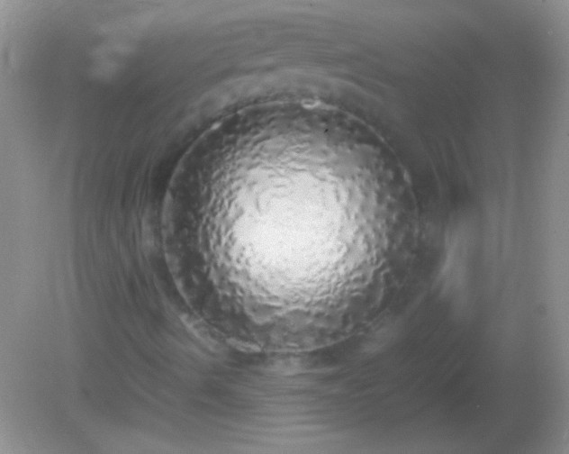 X0000082141490200701262229
