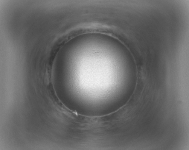 X0000082141493200701262229