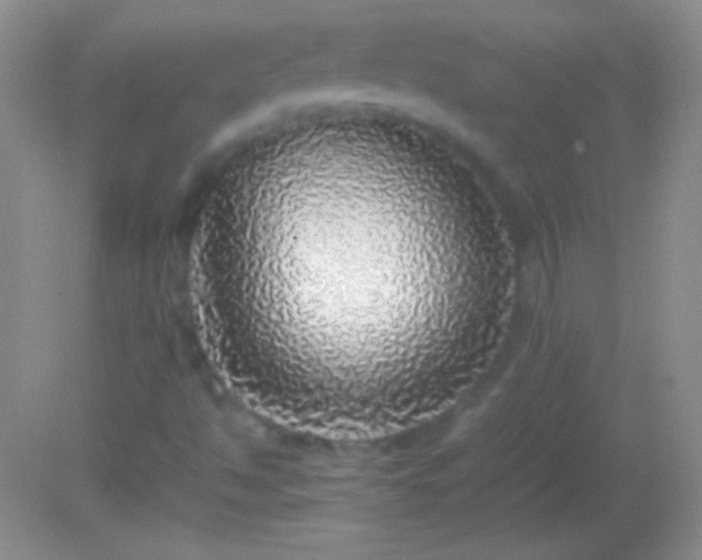 X0000082141494200701262229