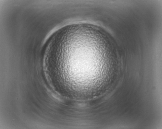 X0000082141501200701262229