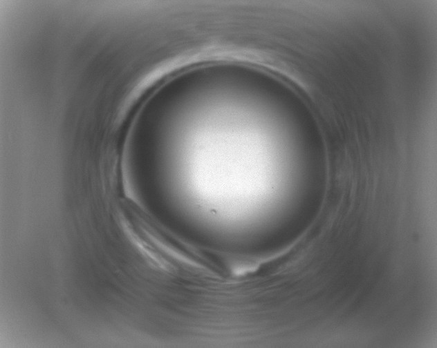 X0000082141507200701262229