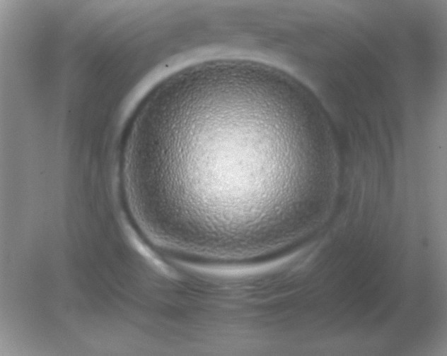 X0000082141511200701262229
