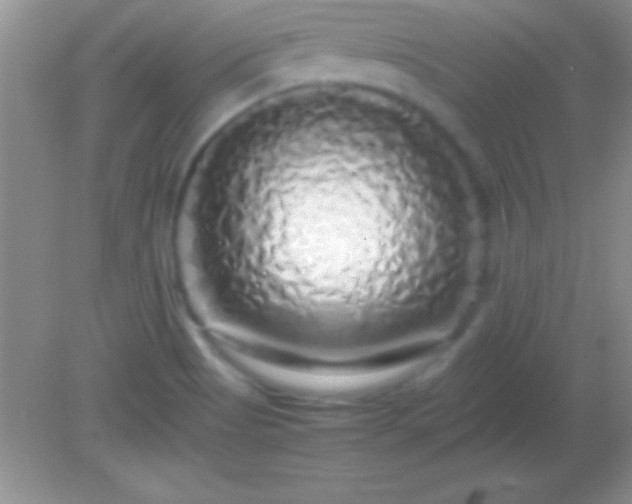 X0000082141513200701262229