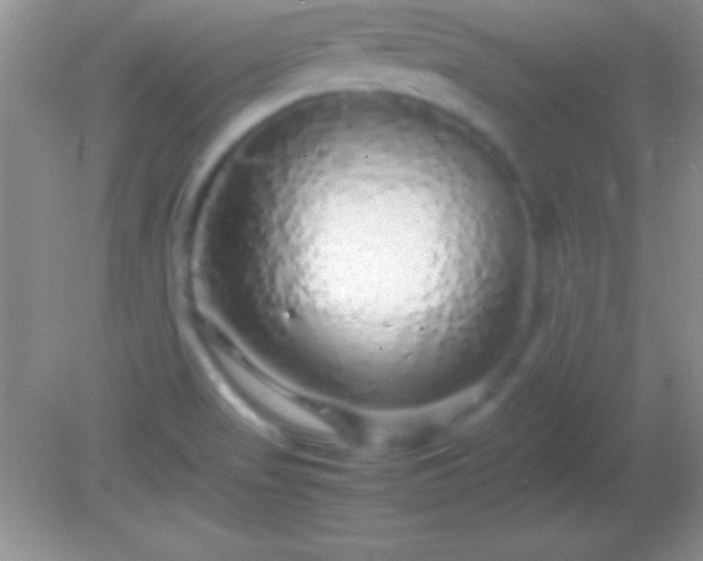 X0000082141517200701262229