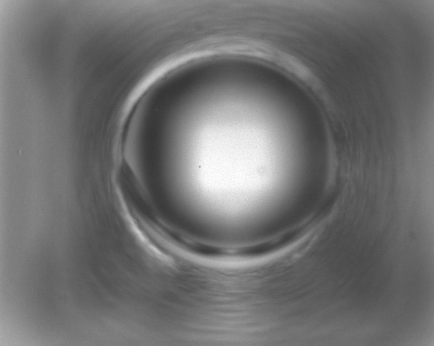 X0000082141520200701262229