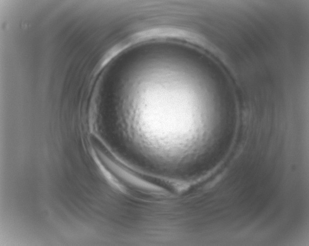 X0000082141521200701262229
