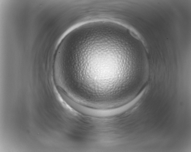 X0000082141534200701262229