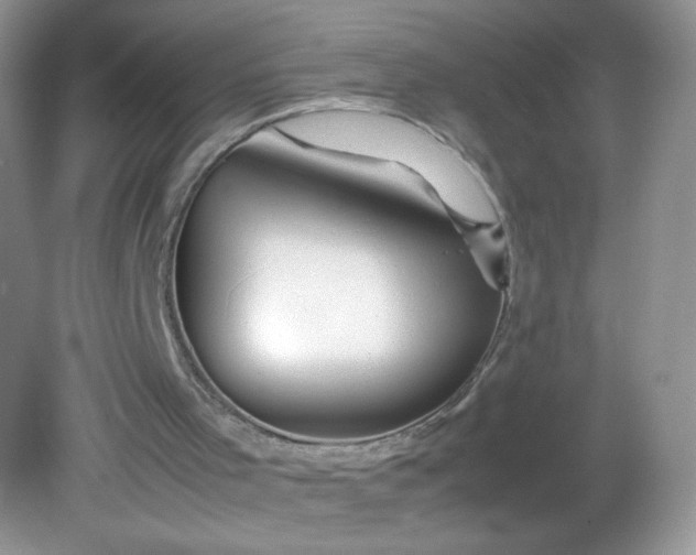 X0000082140001200702021621