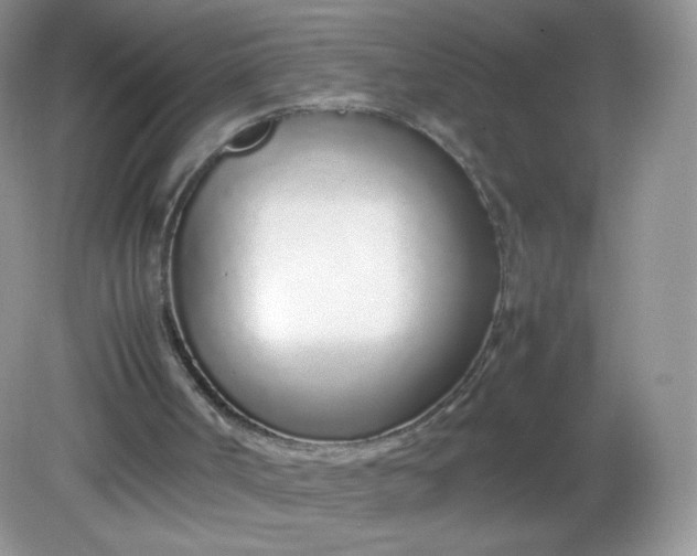 X0000082140002200702021621