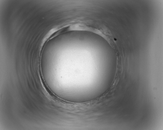 X0000082140003200702021621