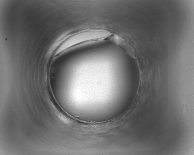 X0000082140005200702021621