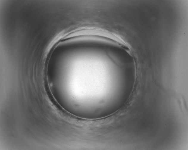 X0000082140007200702021621