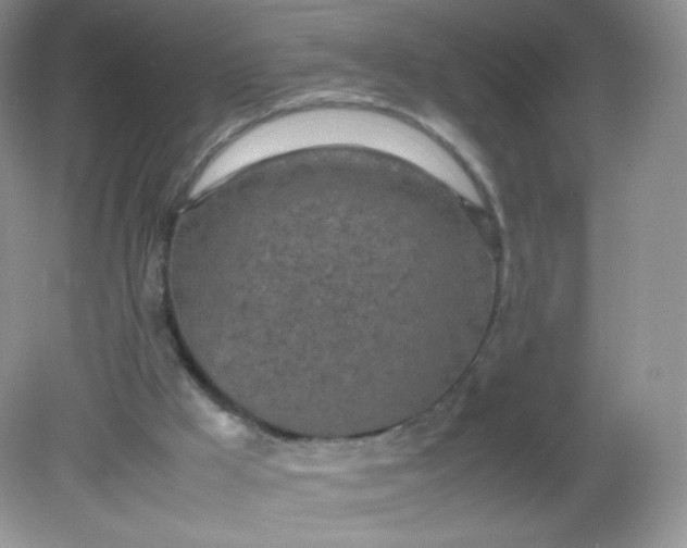 X0000082140009200702021621