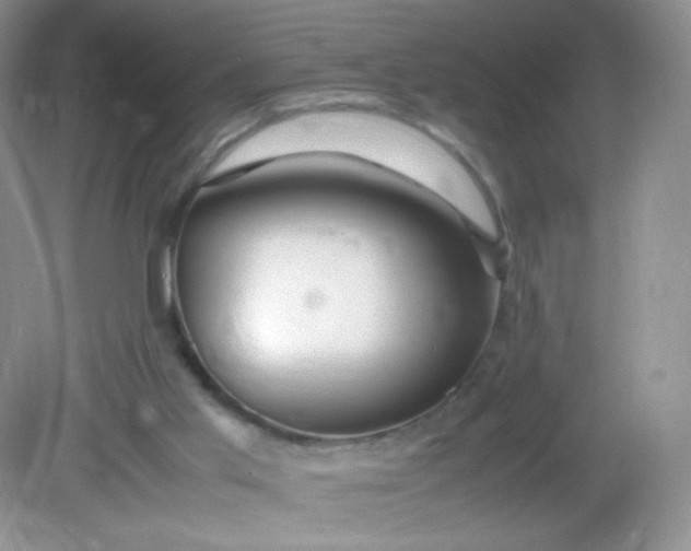 X0000082140013200702021621