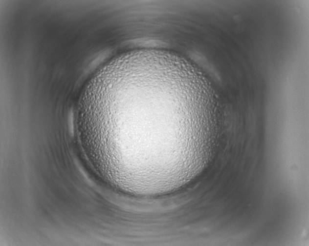 X0000082140014200702021621