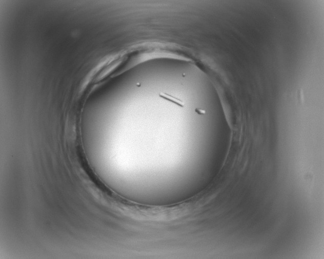 X0000082140015200702021621