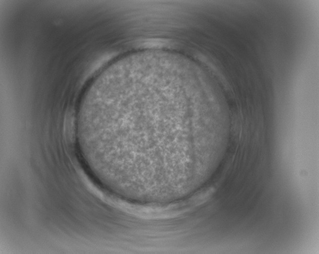 X0000082140016200702021621