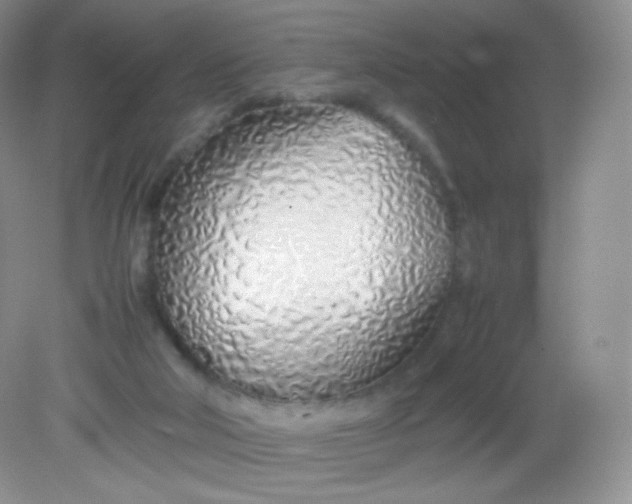 X0000082140018200702021621