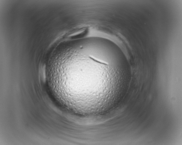 X0000082140020200702021621