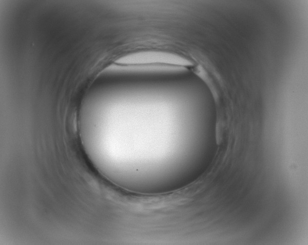 X0000082140021200702021621