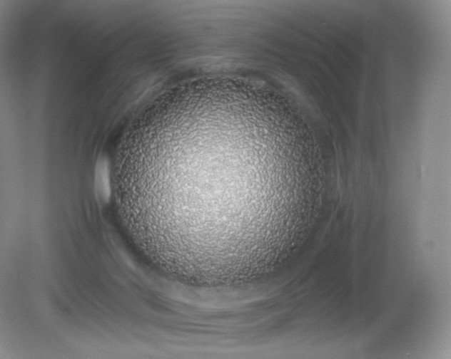 X0000082140022200702021621