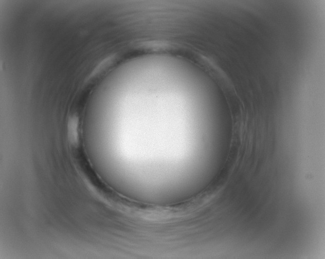 X0000082140024200702021621