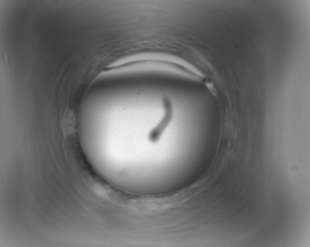 X0000082140025200702021621