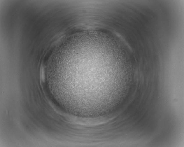 X0000082140026200702021621