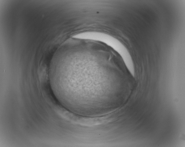 X0000082140029200702021621