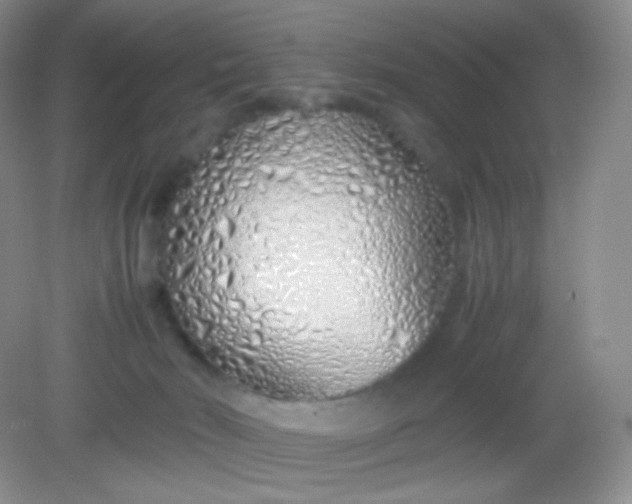 X0000082140030200702021621