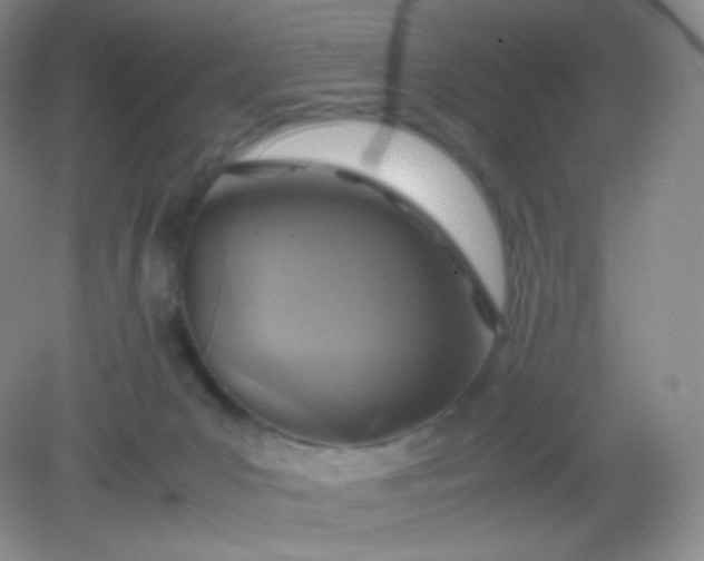 X0000082140031200702021621