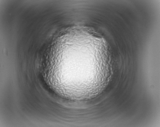 X0000082140032200702021621