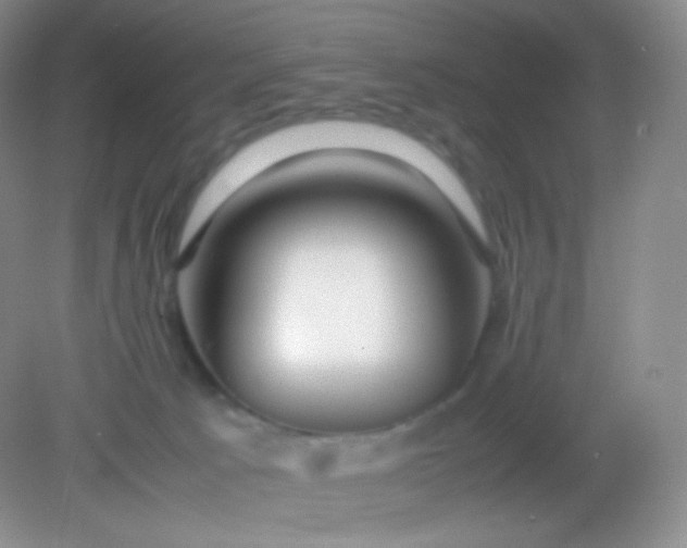 X0000082140033200702021621